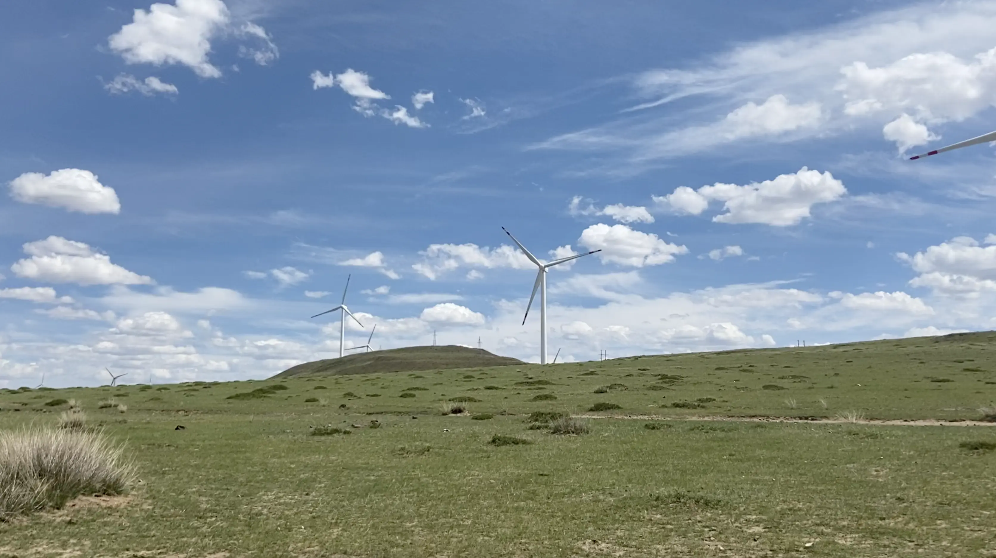 Vast Grasslands